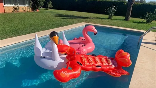 Houses in Palma de Mallorca - photo 5