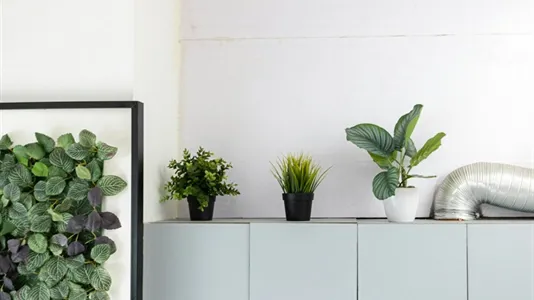 Apartments in Stad Brussel - photo 8