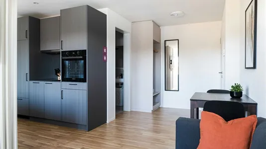 Apartments in Basel-Stadt - photo 7