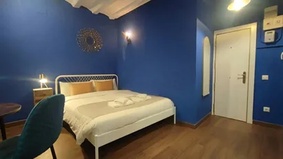 Apartment for rent in Barcelona Ciutat Vella, Barcelona