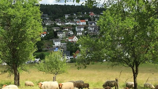 Houses in Lahn-Dill-Kreis - photo 6
