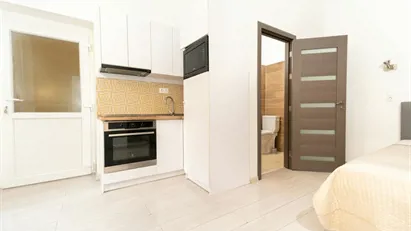 Apartment for rent in Budapest Erzsébetváros, Budapest