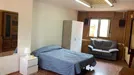 Room for rent, Castellón de la Plana/Castelló de la Plana, Comunidad Valenciana, Avinguda del Doctor Clarà