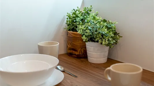 Rooms in Madrid Carabanchel - photo 8