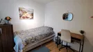 Room for rent, Amsterdam, Adolphine Eduardine Kokplantsoen