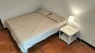 Room for rent, Padua, Veneto, Via Umberto I