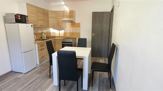 Apartments in Prachatice - photo 4