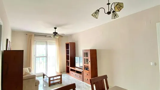 Rooms in Jerez de la Frontera - photo 5