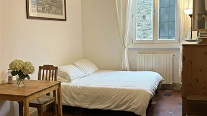 Room for rent in Florence, Toscana