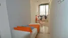 Room for rent, Modena, Emilia-Romagna, Viale Alfeo Corassori