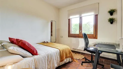 Room for rent in Cerdanyola del Vallès, Cataluña