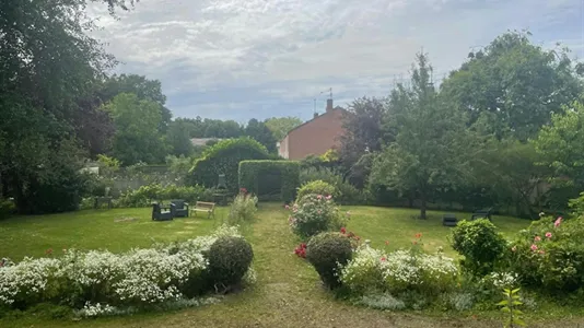 Rooms in Lille - photo 9