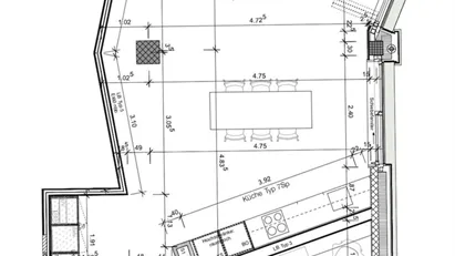 Apartment for rent in Zürich District 3 - Wiedikon, Zürich