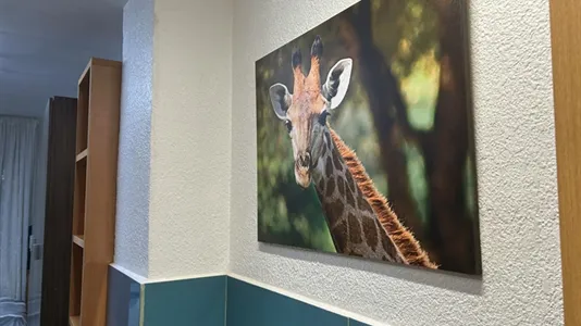 Apartments in Barcelona Les Corts - photo 6