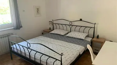 Room for rent in Besnica, Osrednjeslovenska