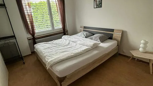 Apartments in Uster - photo 3