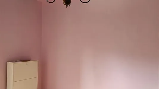 Rooms in Pisa - photo 3