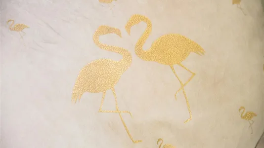 Rooms in Location is not specified - photo 5