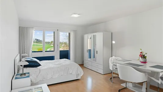 Apartments in Dielsdorf - photo 3