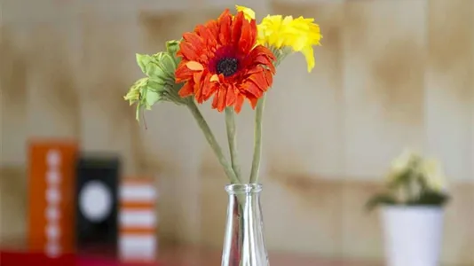 Rooms in Milano Zona 6 - Barona, Lorenteggio - photo 8