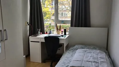 Room for rent in Rotterdam