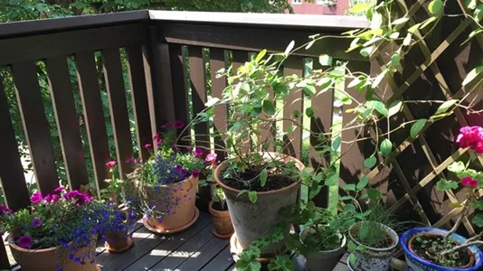 Apartments in Örgryte-Härlanda - photo 6