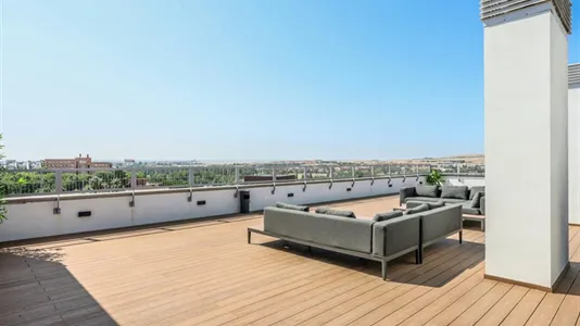 Apartments in Salamanca - photo 6