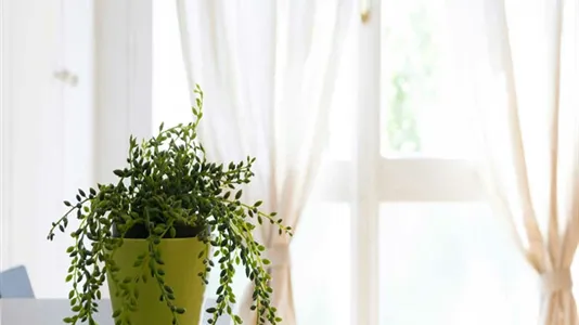 Rooms in Milano Zona 8 - Fiera, Gallaratese, Quarto Oggiaro - photo 8