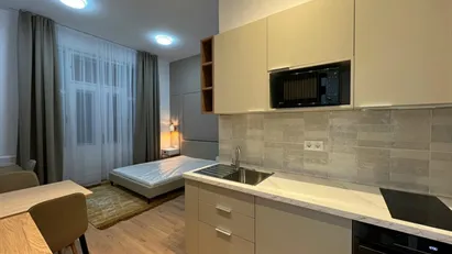 Apartment for rent in Budapest Erzsébetváros, Budapest