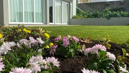 Houses in Funchal - photo 6