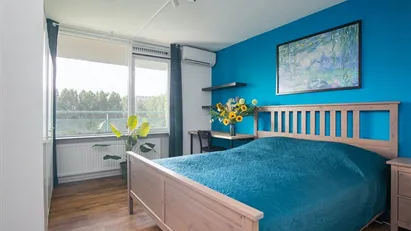 Room for rent in Rotterdam