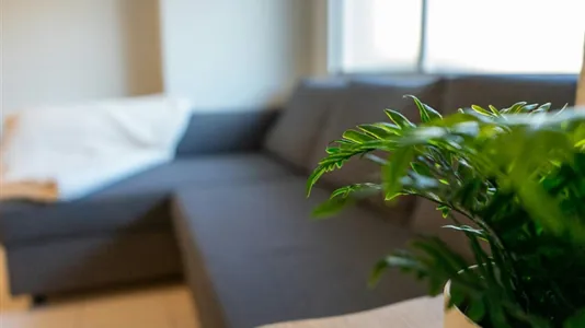 Rooms in El Cerezo - photo 10