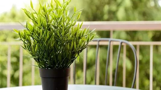 Rooms in Milano Zona 8 - Fiera, Gallaratese, Quarto Oggiaro - photo 7