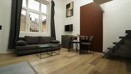 Apartments in Budapest Terézváros - photo 4