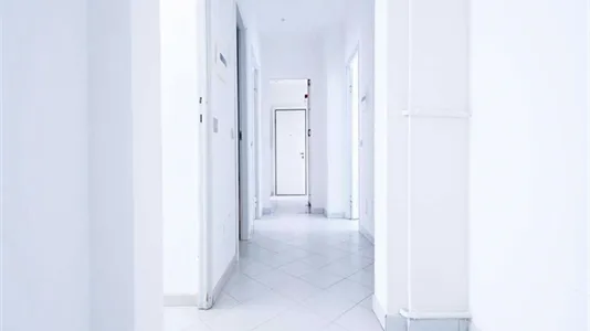 Rooms in Milano Zona 3 - Porta Venezia, Città Studi, Lambrate - photo 3