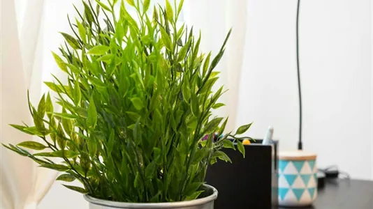 Rooms in Milano Zona 2 - Stazione Centrale, Gorla, Turro, Greco, Crescenzago - photo 6