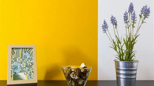 Rooms in Milano Zona 2 - Stazione Centrale, Gorla, Turro, Greco, Crescenzago - photo 10