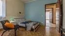 Room for rent, Pisa, Toscana, Via Giuseppe Mazzini