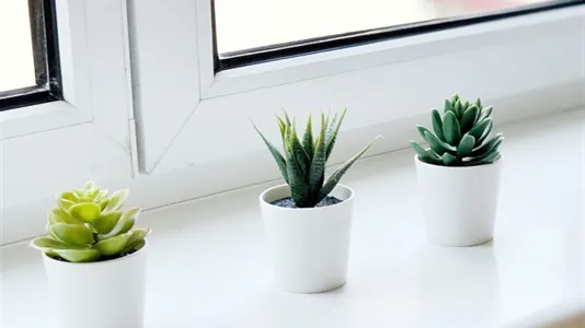 Rooms in Vienna Landstraße - photo 5