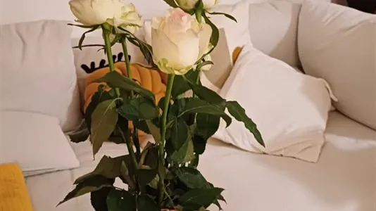 Apartments in Wien Ottakring - photo 4