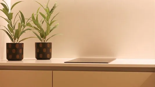 Rooms in Guimarães - photo 8