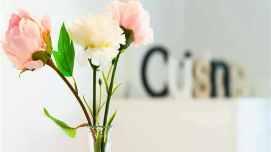 Rooms in Milano Zona 5 - Vigentino, Chiaravalle, Gratosoglio - photo 9