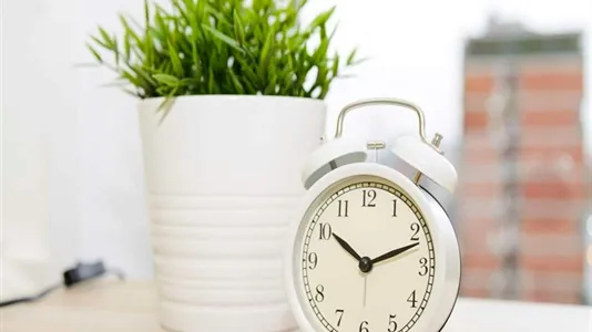 Rooms in Milano Zona 5 - Vigentino, Chiaravalle, Gratosoglio - photo 4