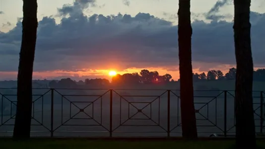 Apartments in Marsciano - photo 4