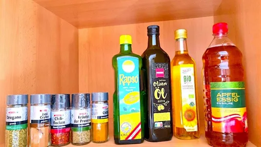 Apartments in Perchtoldsdorf - photo 10