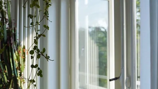 Houses in Rotterdam Noord - photo 9