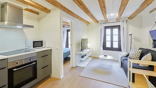 Apartments in Barcelona Ciutat Vella - photo 9