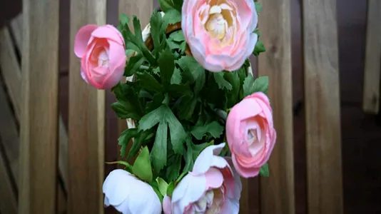 Rooms in Milano Zona 8 - Fiera, Gallaratese, Quarto Oggiaro - photo 6