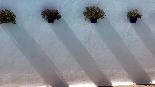 Houses in Teguise - photo 9