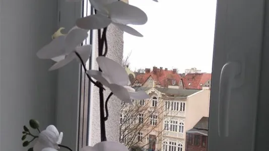 Apartments in Sopot - photo 8